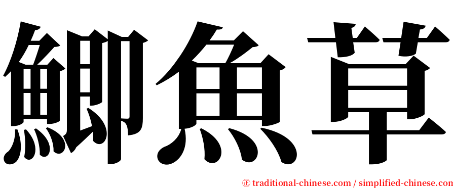 鯽魚草 serif font