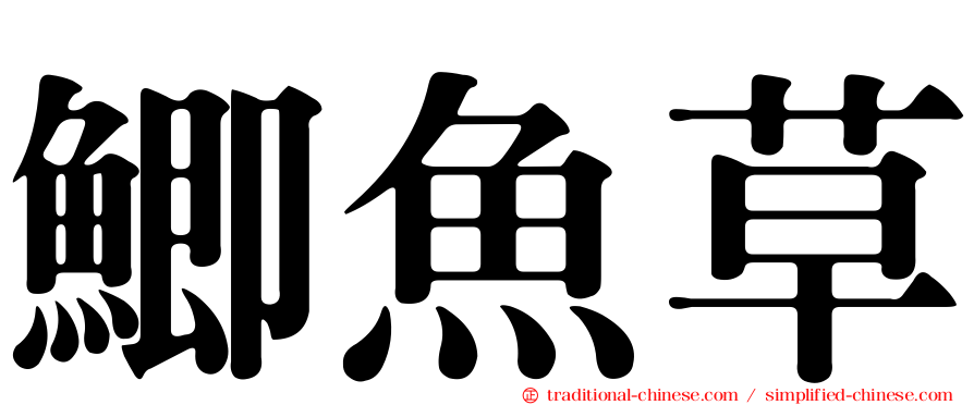 鯽魚草
