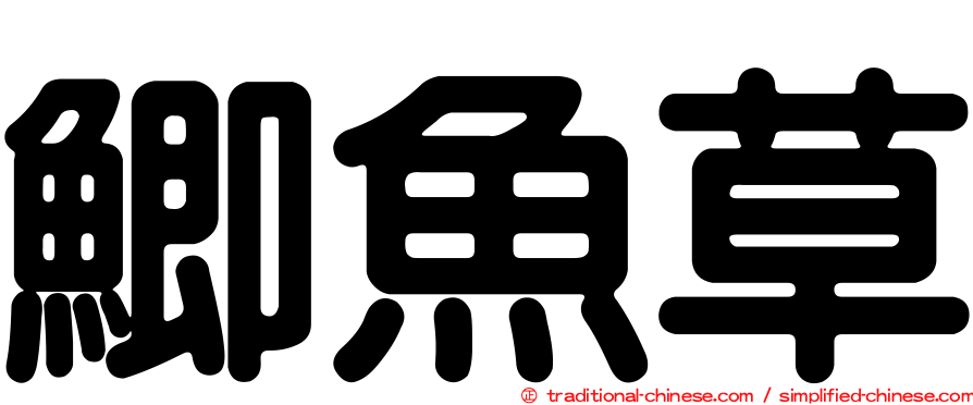 鯽魚草