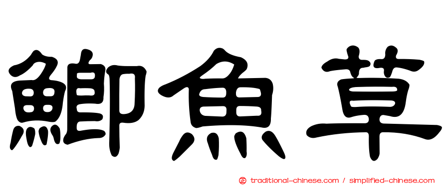 鯽魚草