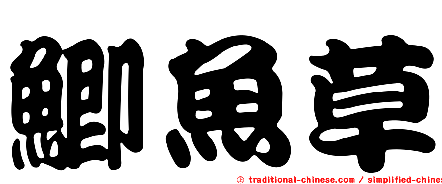 鯽魚草