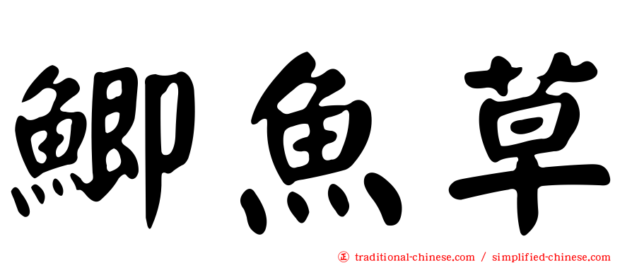 鯽魚草