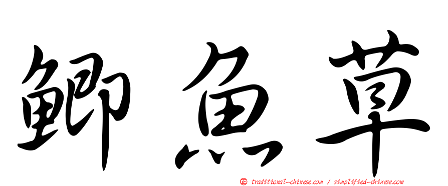 鯽魚草