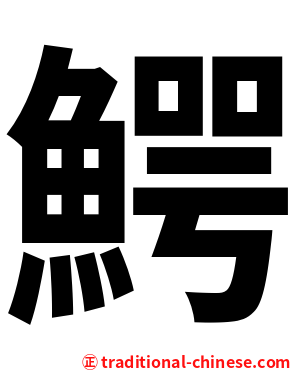 鰐
