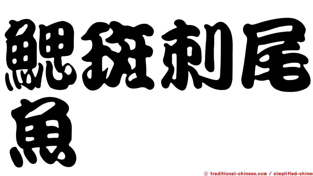 鰓斑刺尾魚