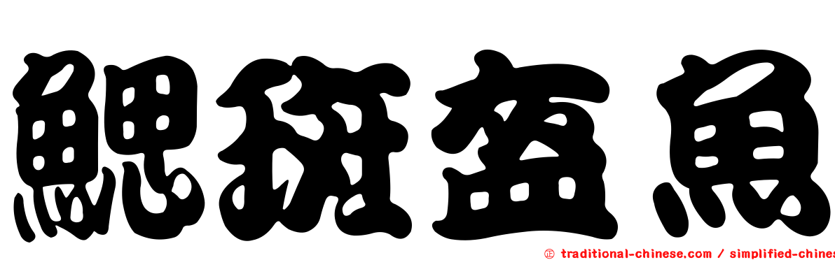 鰓斑盔魚
