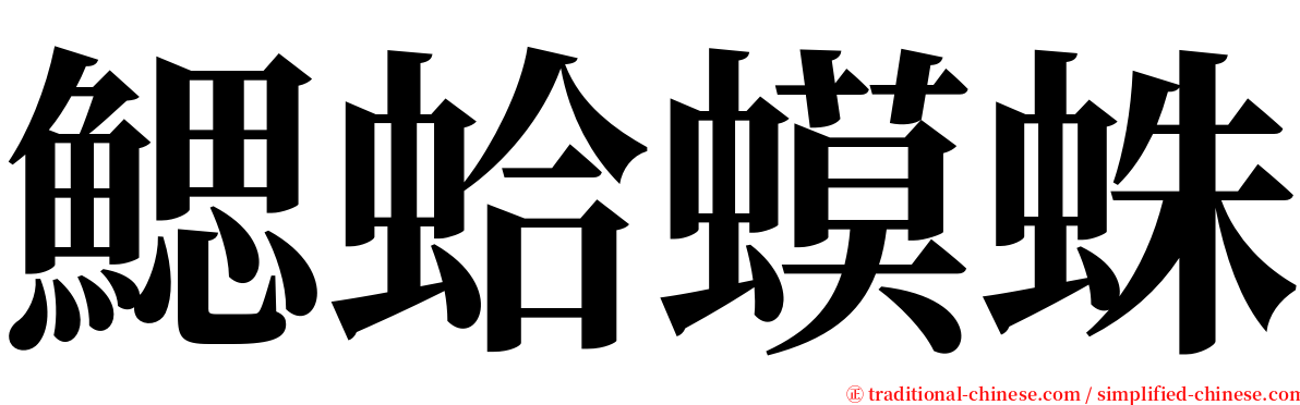 鰓蛤蟆蛛 serif font