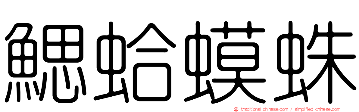 鰓蛤蟆蛛