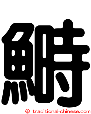 鰣