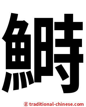 鰣