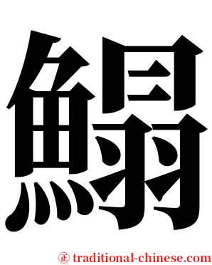 鰨 serif font