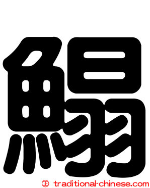 鰨