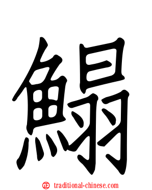 鰨
