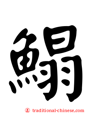 鰨