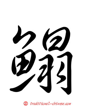 鰨
