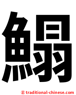 鰨