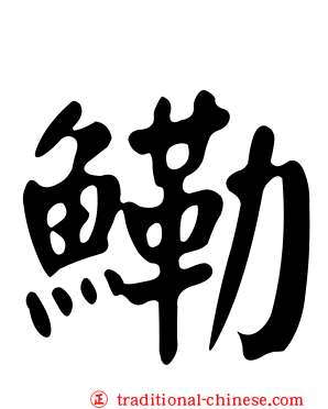 鰳