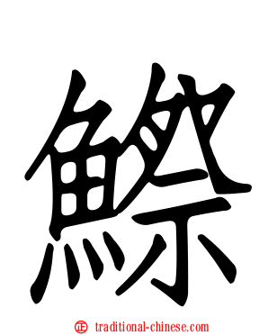 鰶