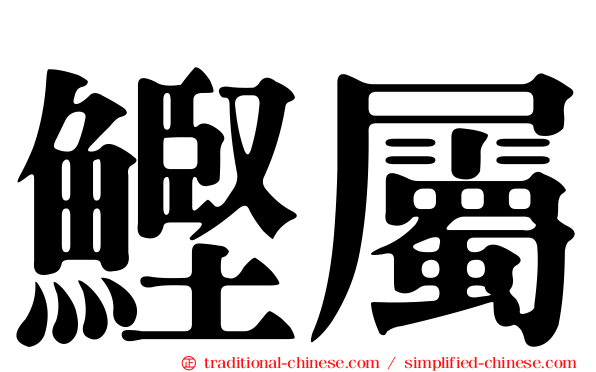 鰹屬
