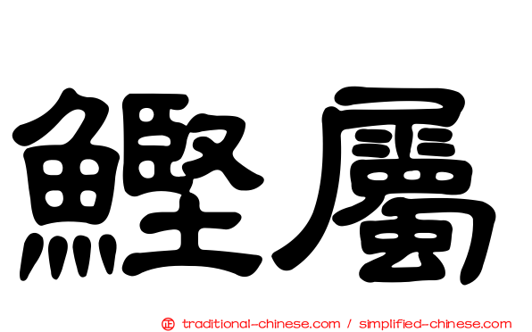 鰹屬