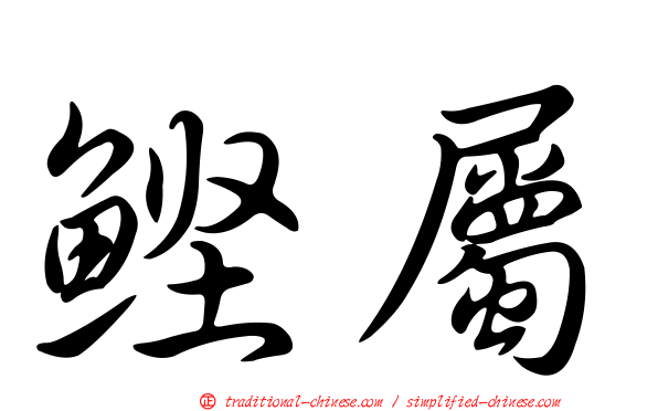 鰹屬