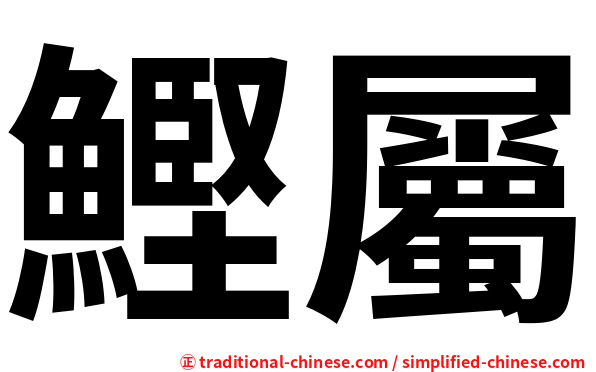 鰹屬