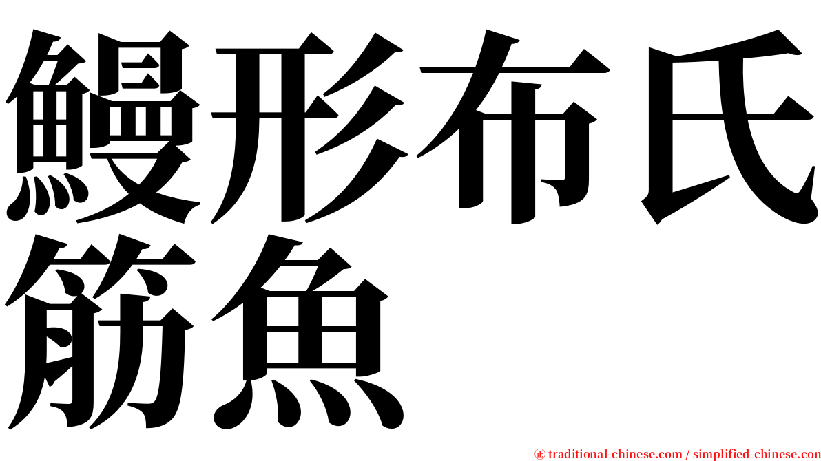 鰻形布氏筋魚 serif font