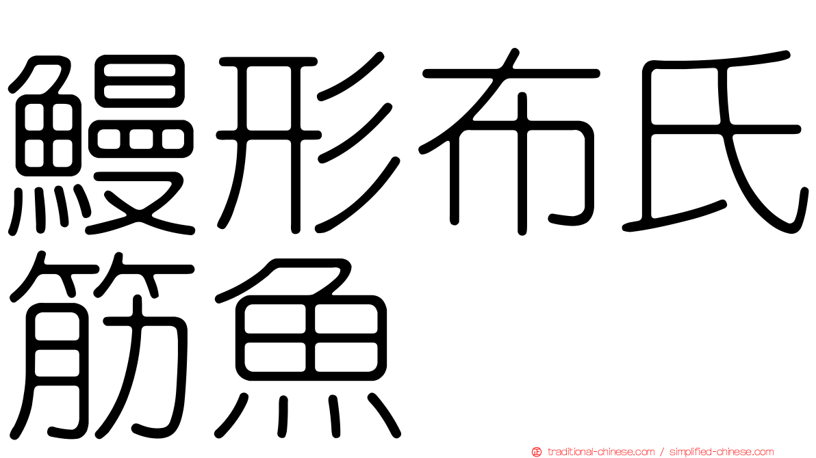 鰻形布氏筋魚