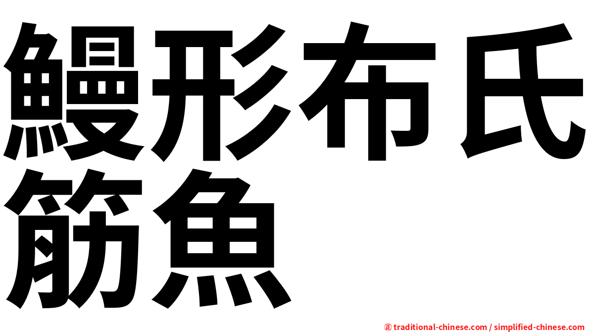 鰻形布氏筋魚