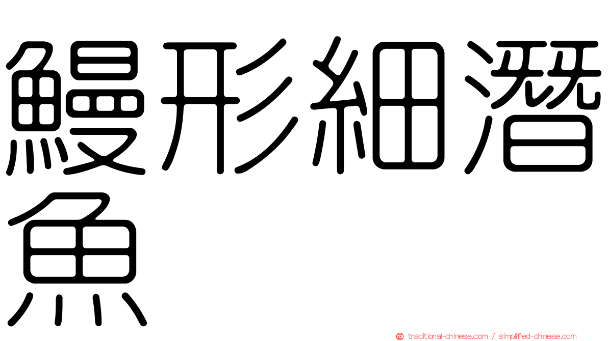 鰻形細潛魚