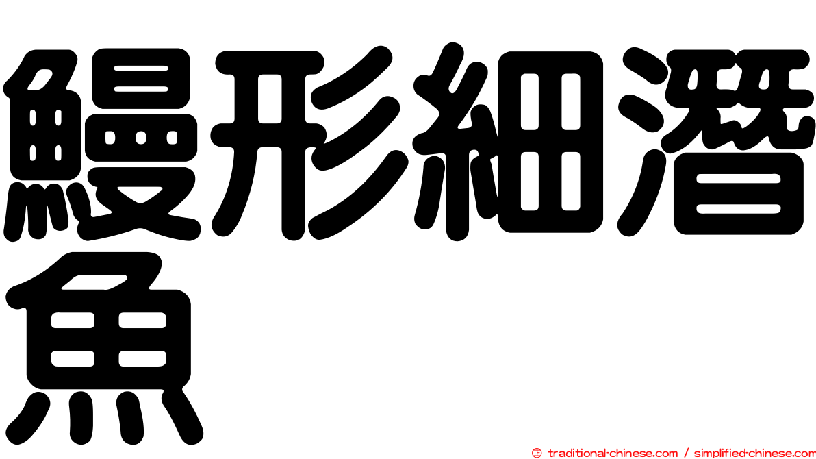 鰻形細潛魚