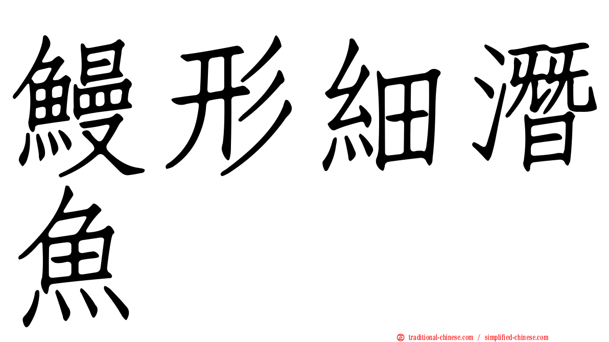 鰻形細潛魚