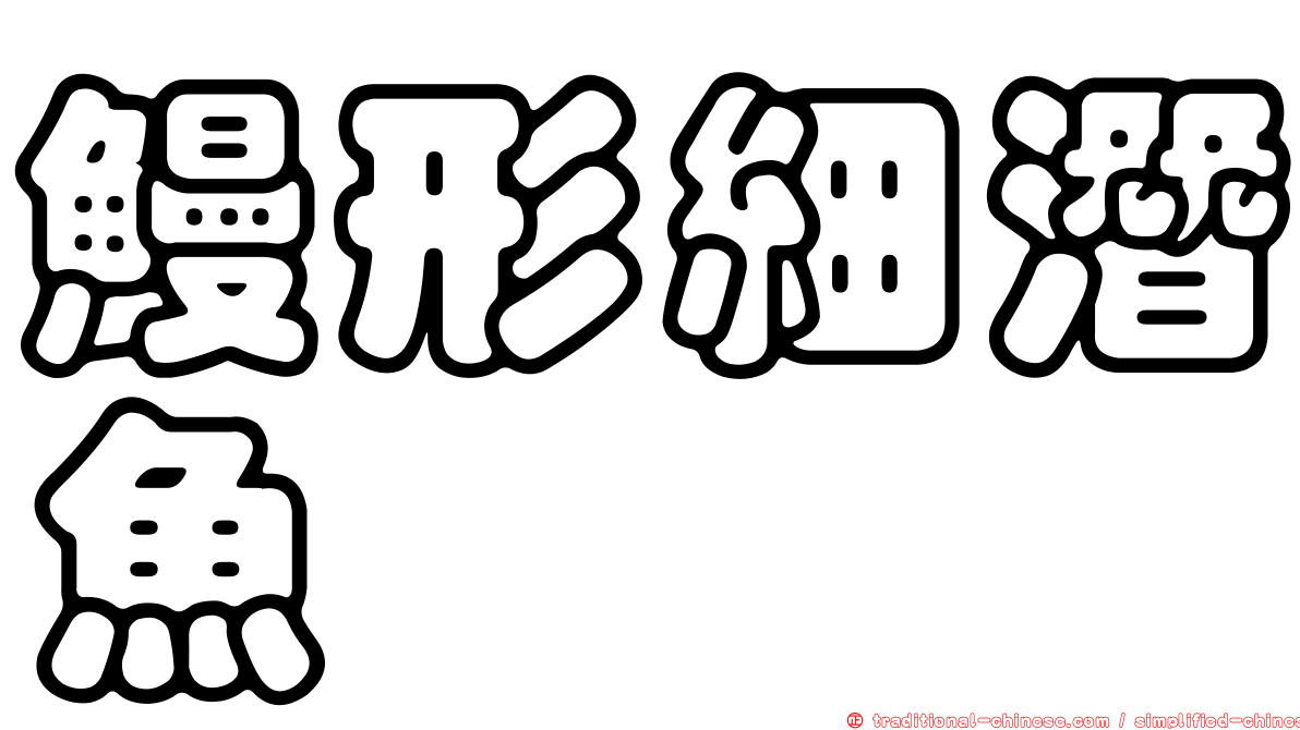 鰻形細潛魚