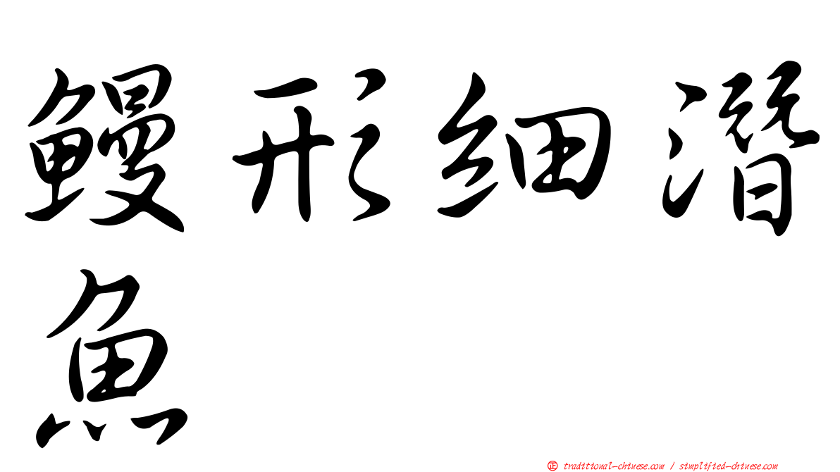 鰻形細潛魚