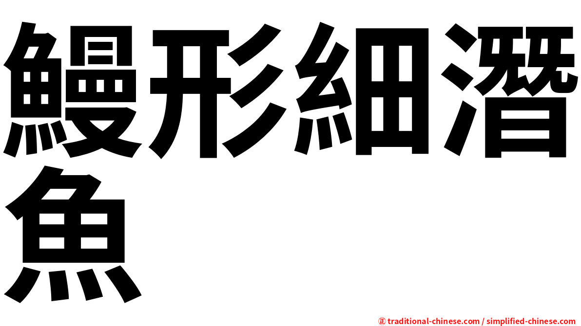 鰻形細潛魚