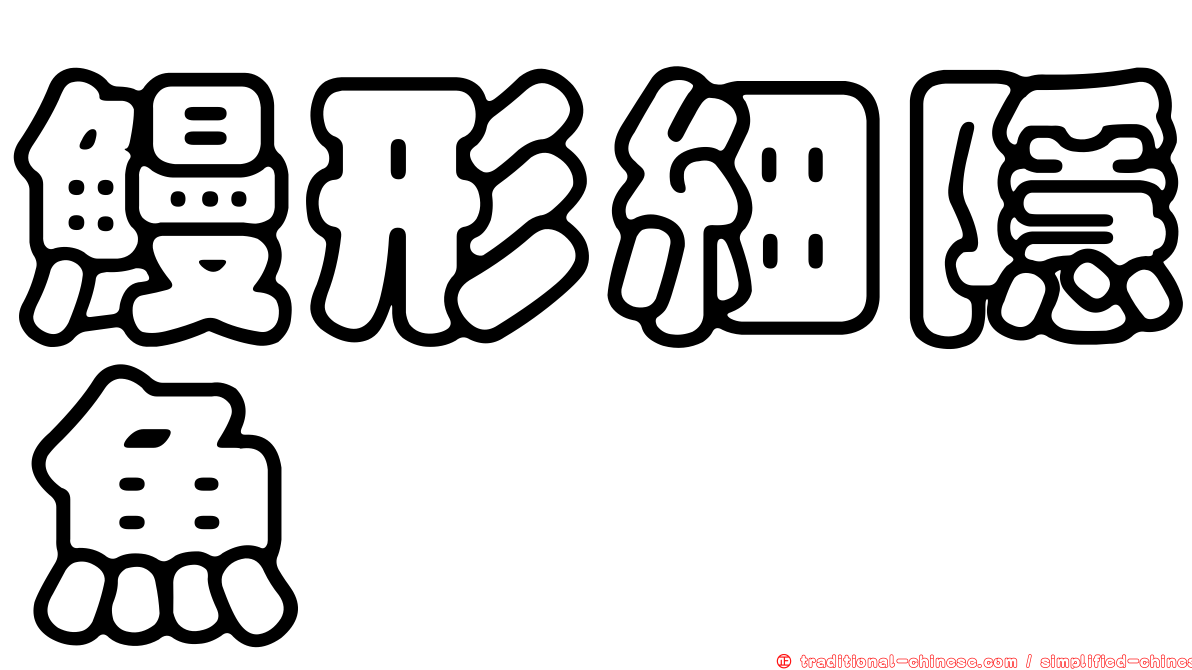 鰻形細隱魚