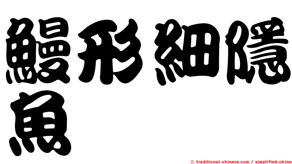 鰻形細隱魚