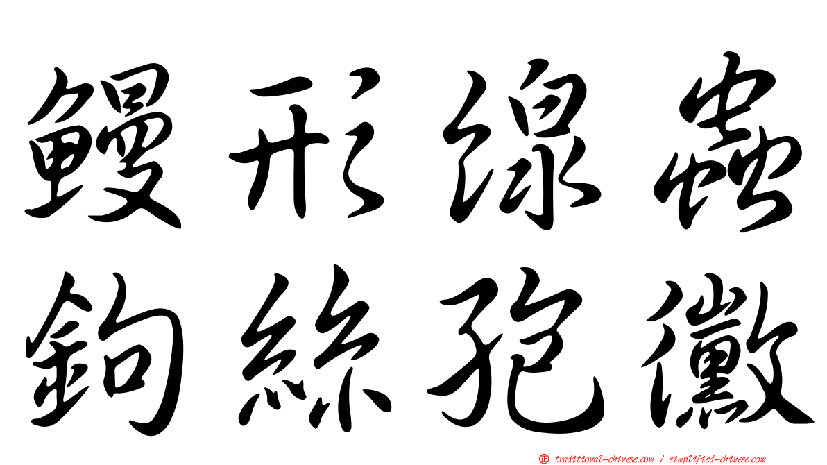 鰻形線蟲鉤絲孢黴