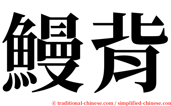 鰻背 serif font