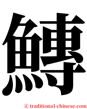 鱄 serif font