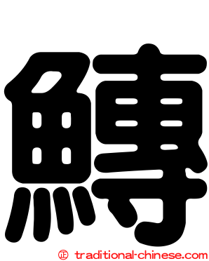 鱄