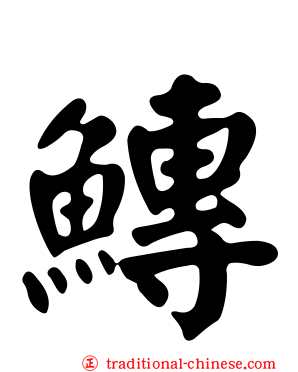 鱄