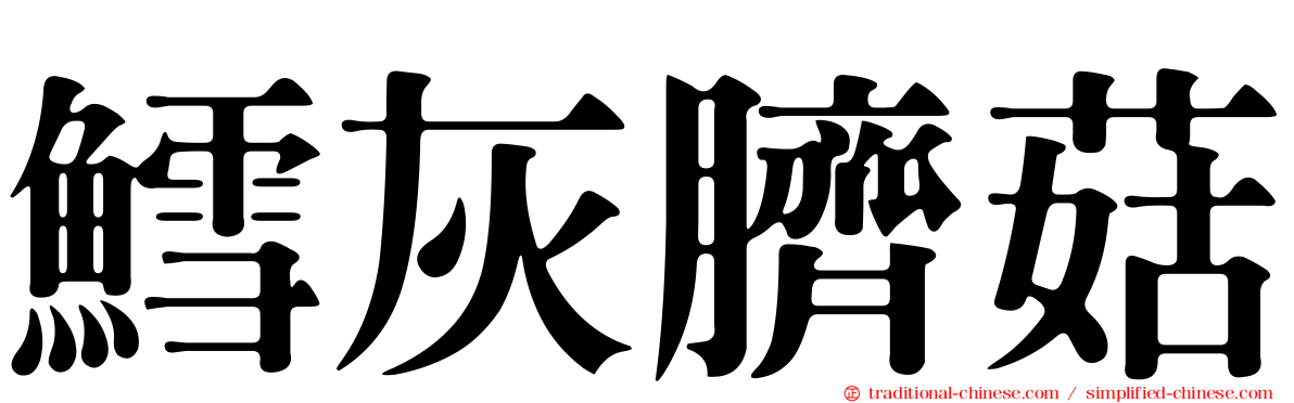 鱈灰臍菇