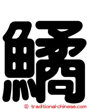 鱊