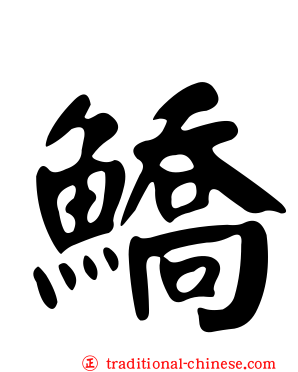 鱎