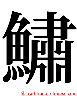 鱐 serif font