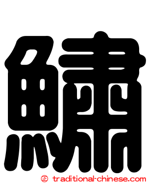 鱐