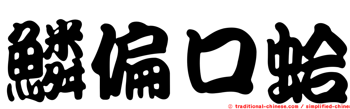 鱗偏口蛤