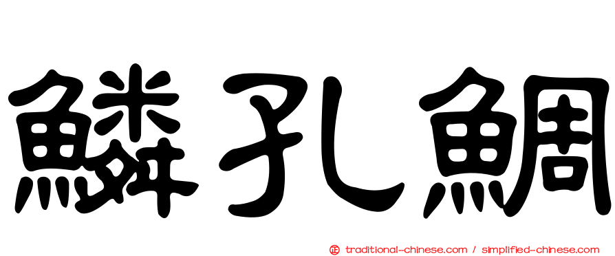 鱗孔鯛