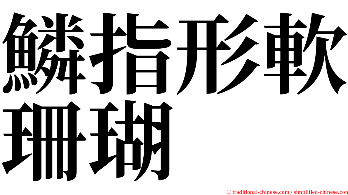 鱗指形軟珊瑚 serif font